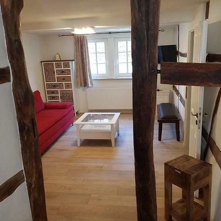 Zauberhafte Wohnung In Der Naehe Von Heidelberg, Top Lage Хиршхорн Екстериор снимка