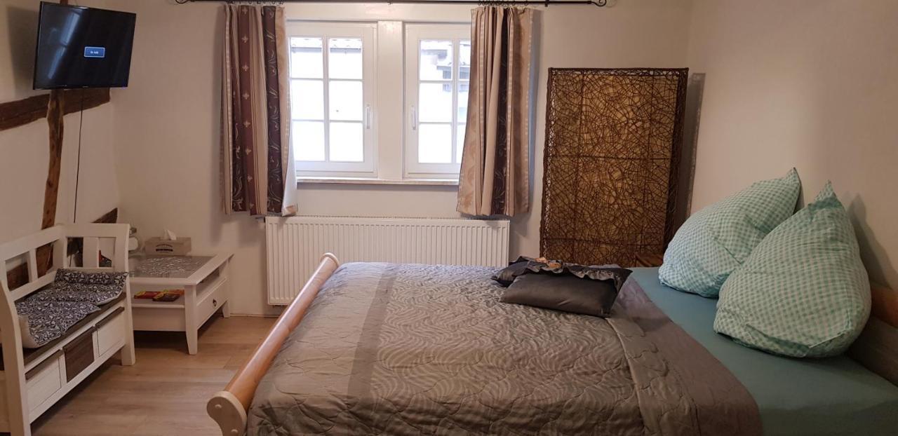 Zauberhafte Wohnung In Der Naehe Von Heidelberg, Top Lage Хиршхорн Екстериор снимка