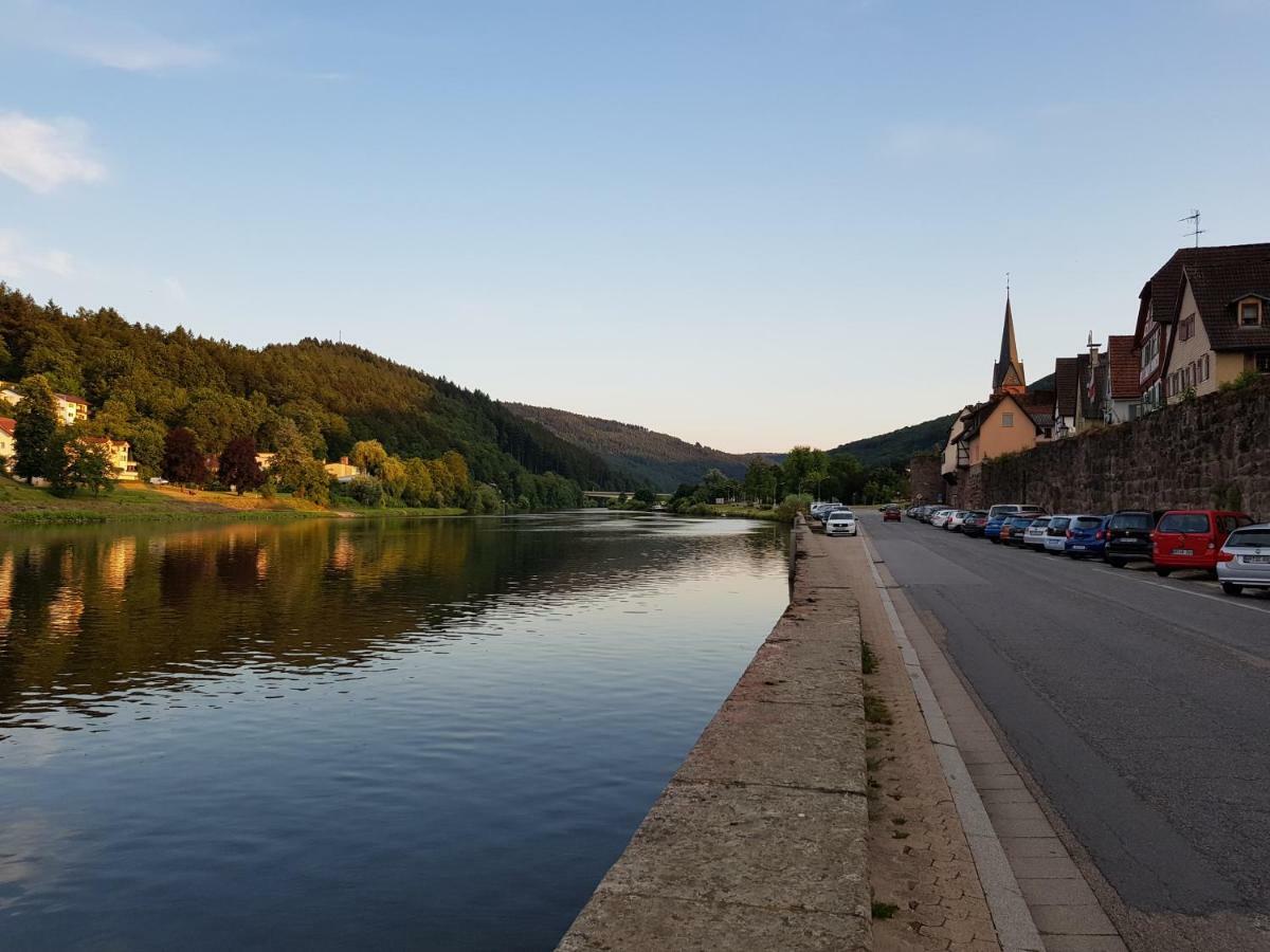 Zauberhafte Wohnung In Der Naehe Von Heidelberg, Top Lage Хиршхорн Екстериор снимка