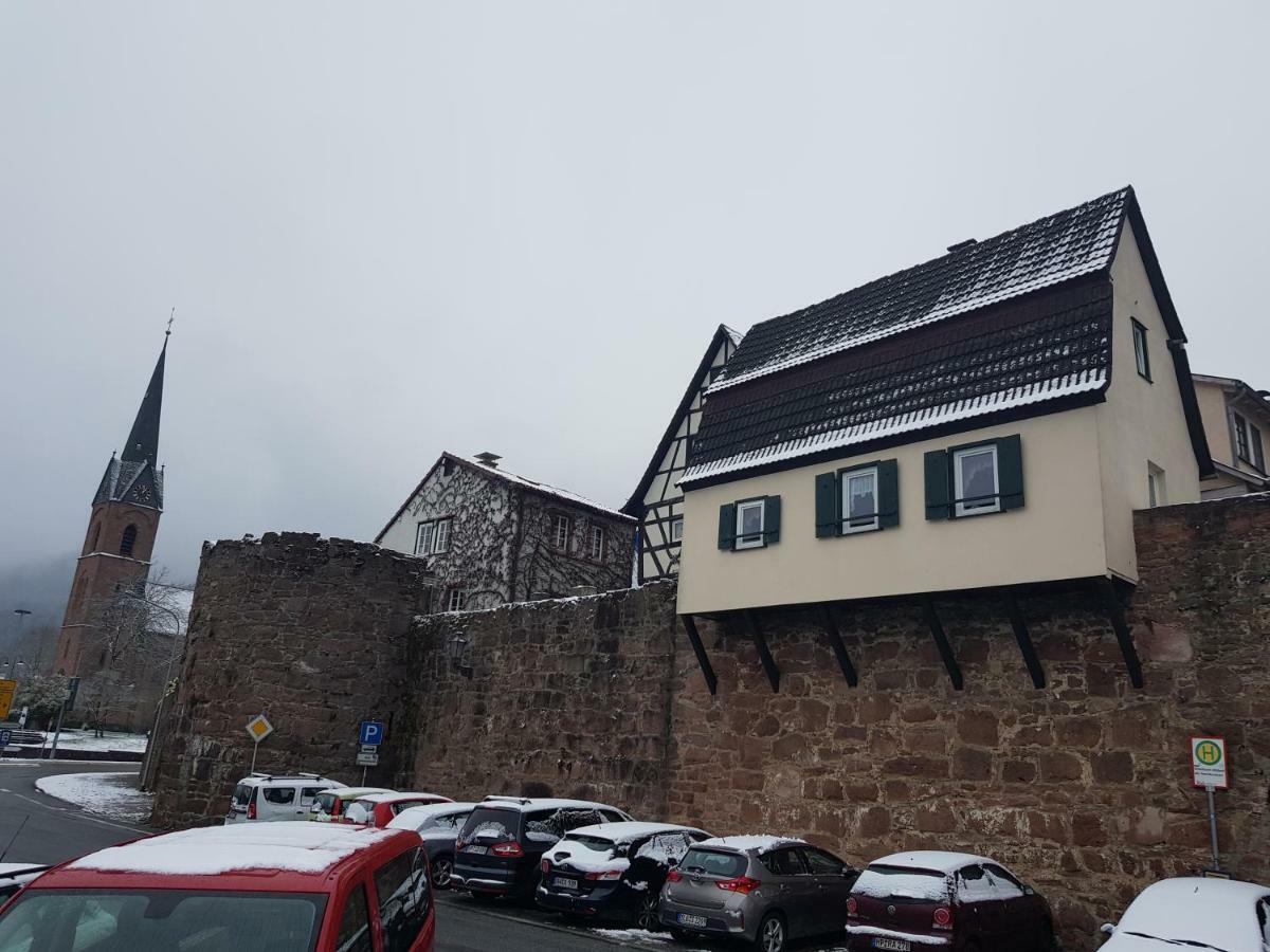 Zauberhafte Wohnung In Der Naehe Von Heidelberg, Top Lage Хиршхорн Екстериор снимка