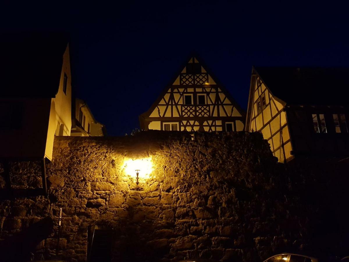 Zauberhafte Wohnung In Der Naehe Von Heidelberg, Top Lage Хиршхорн Екстериор снимка