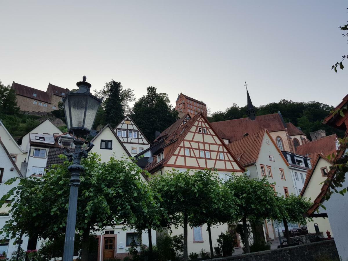 Zauberhafte Wohnung In Der Naehe Von Heidelberg, Top Lage Хиршхорн Екстериор снимка