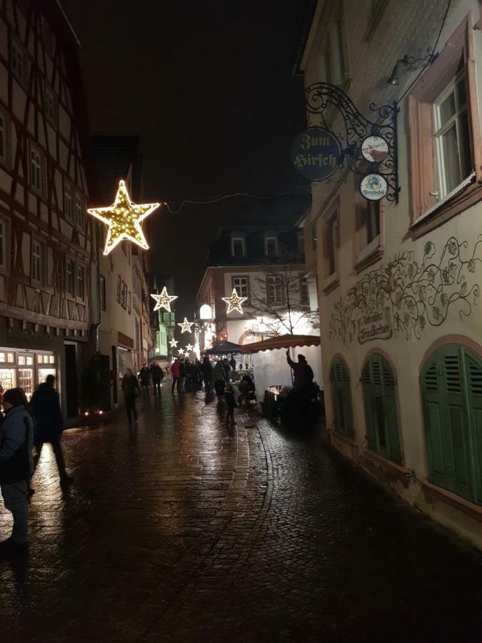 Zauberhafte Wohnung In Der Naehe Von Heidelberg, Top Lage Хиршхорн Екстериор снимка