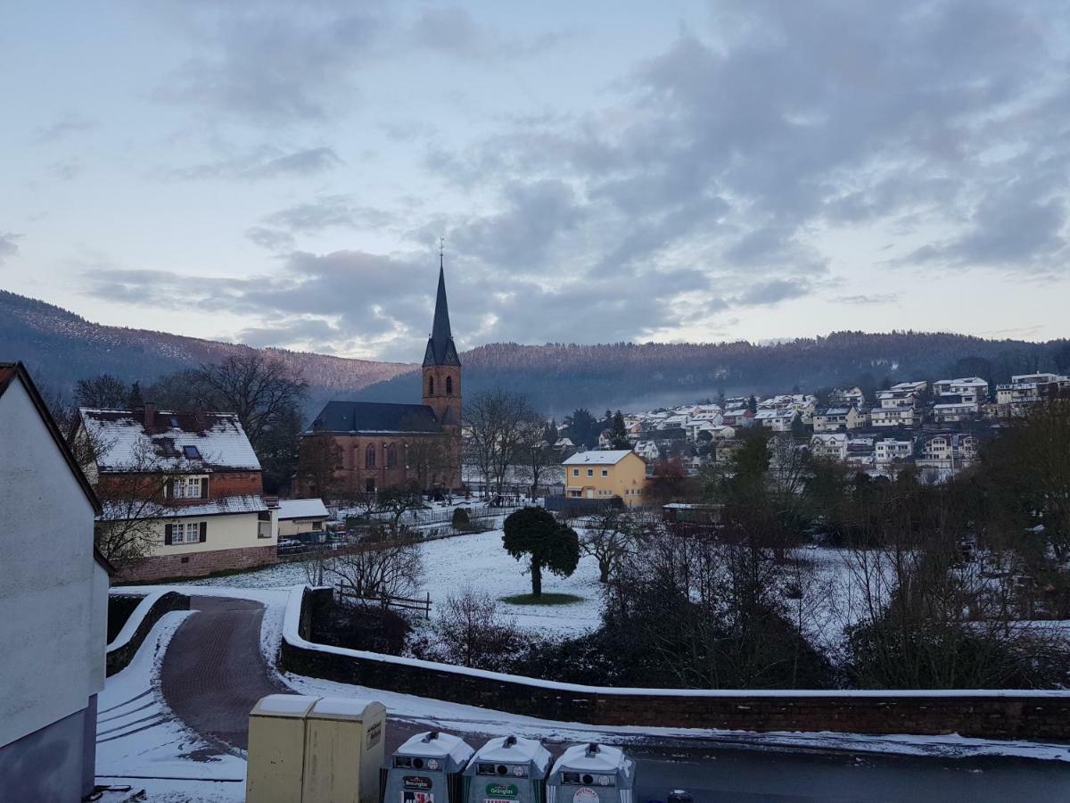 Zauberhafte Wohnung In Der Naehe Von Heidelberg, Top Lage Хиршхорн Екстериор снимка