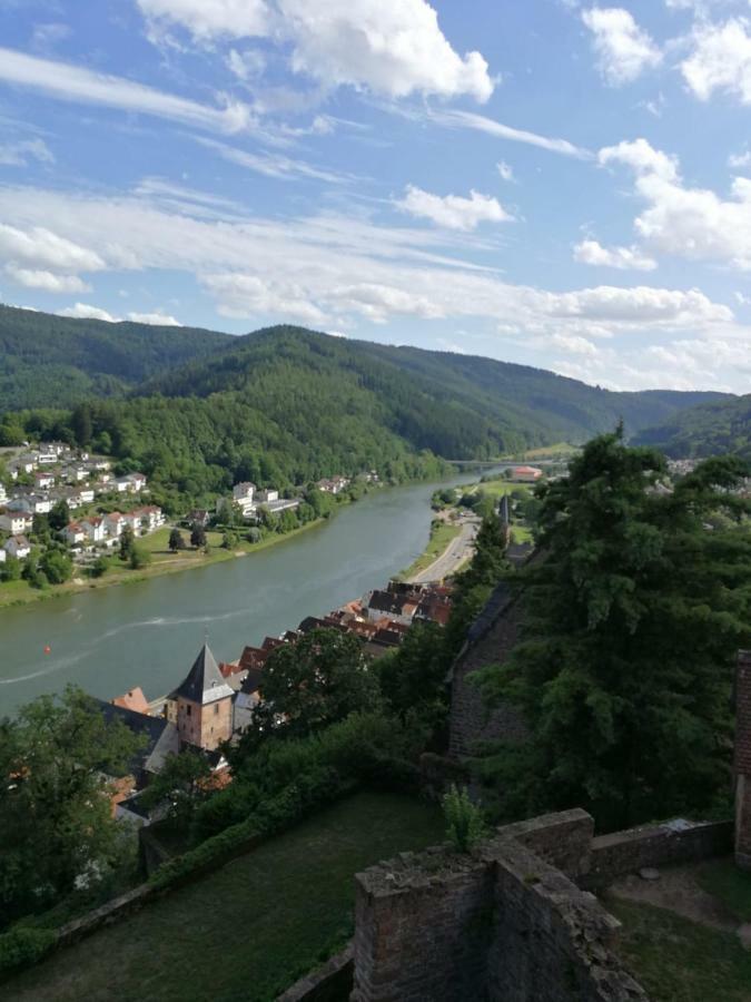 Zauberhafte Wohnung In Der Naehe Von Heidelberg, Top Lage Хиршхорн Екстериор снимка
