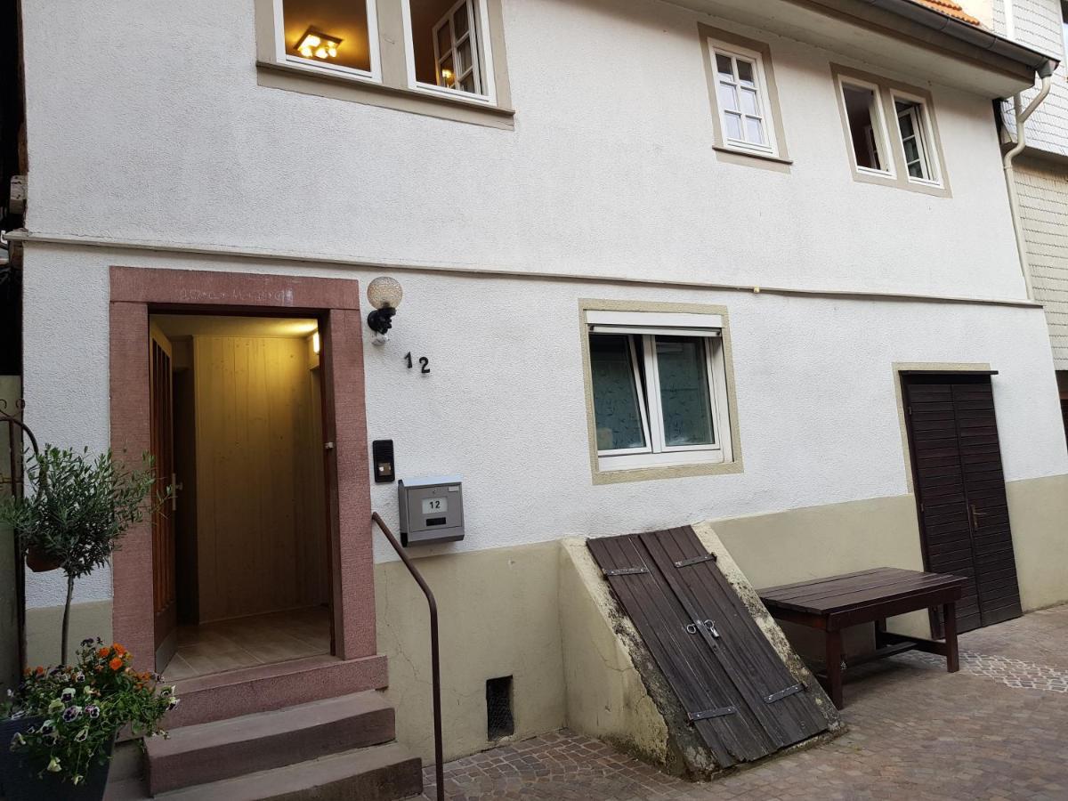 Zauberhafte Wohnung In Der Naehe Von Heidelberg, Top Lage Хиршхорн Екстериор снимка