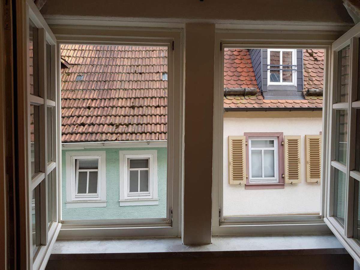 Zauberhafte Wohnung In Der Naehe Von Heidelberg, Top Lage Хиршхорн Екстериор снимка